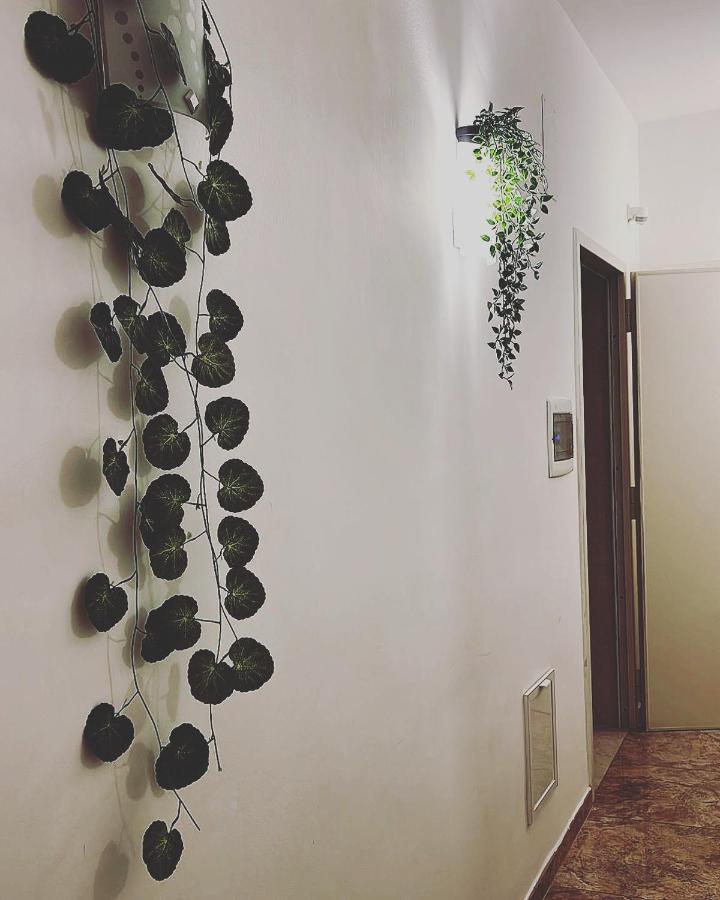 Esperanto B&B Барі Екстер'єр фото